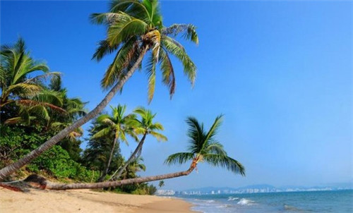 加盟莱得快有哪些支持，酸辣粉加盟排行榜哪家质量好