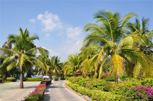 qq怎么兑换成q币（如何将q币兑换到qq钱包）