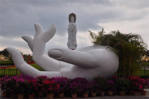 育雏时亲鸟怎样决定该先喂哪只幼鸟。（亲鸟与雏鸟是什么关系）